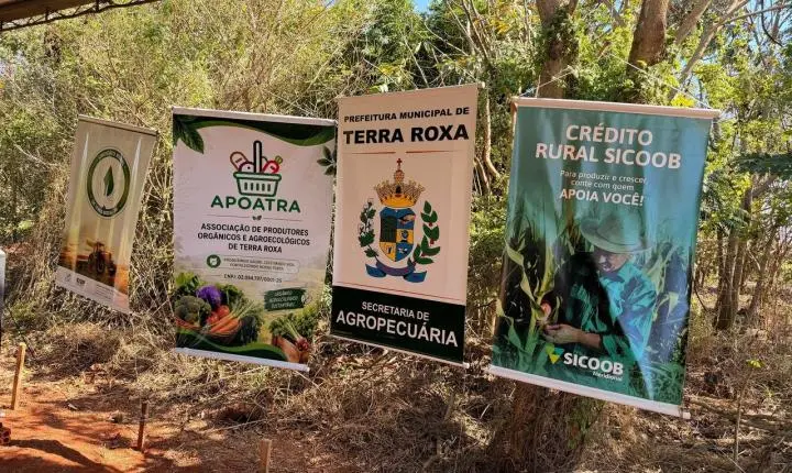 1º Dia de Campo fortalece a agricultura familiar em Terra Roxa