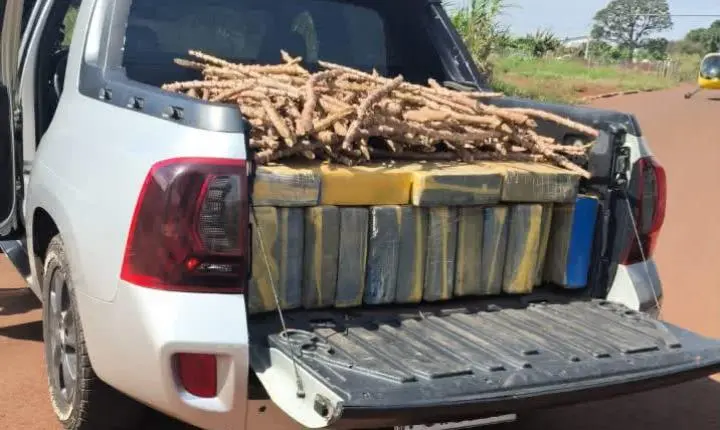 Ação integrada apreende 680 kg de maconha em Assis Chateaubriand