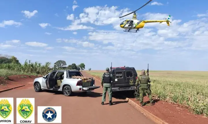 Ação integrada apreende 680 kg de maconha em Assis Chateaubriand