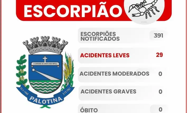 Boletim atualizado aponta 391 escorpiões notificados em Palotina em 2026