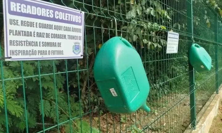Bosque da Mulher é implantado no Lago Municipal e incentiva cuidado coletivo