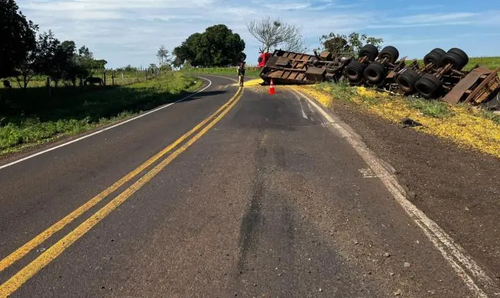 Caminhão sai da pista e colide com árvores na PR-496, em Terra Roxa