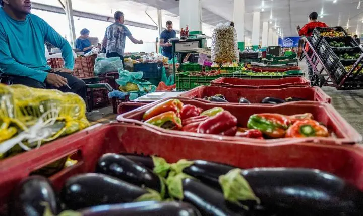 Nova campanha nacional mobiliza a sociedade contra o desperdício de alimentos