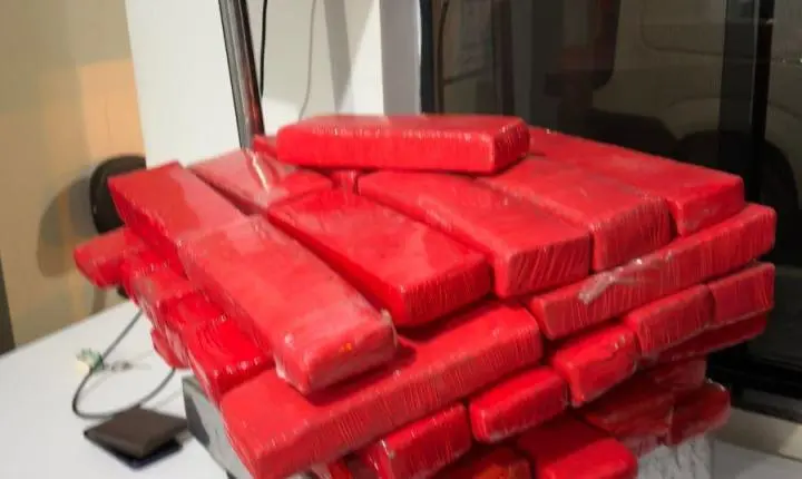 Canil e ROTAM apreendem maconha em abordagem durante a Operação Protetor em Iporã