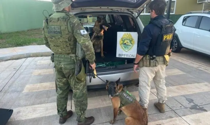 Cão farejador localiza mais de 100 kg de drogas em fundo falso de carro em Guaíra