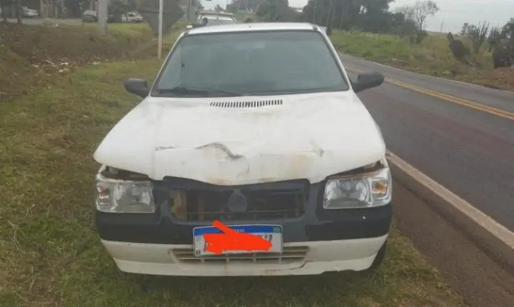 Carro atropela cavalo solto na PR-364, em Terra Roxa