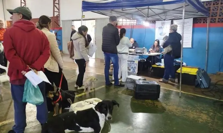 Castrapet Paraná realizou mais uma etapa de castrações em Palotina