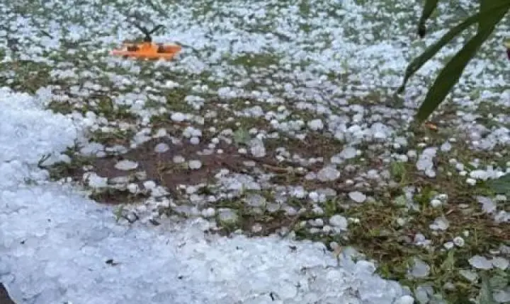 Chuva de granizo surpreende moradores e cobre propriedade de gelo no interior de Toledo