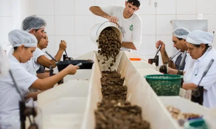 Mdic encerra consulta pública para identificar bens sustentáveis