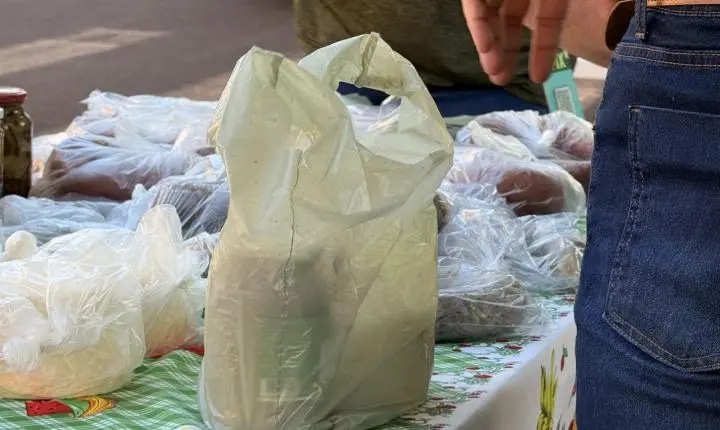Escola Municipal Castro Alves encerra Mostra do projeto Finanças na Mochila