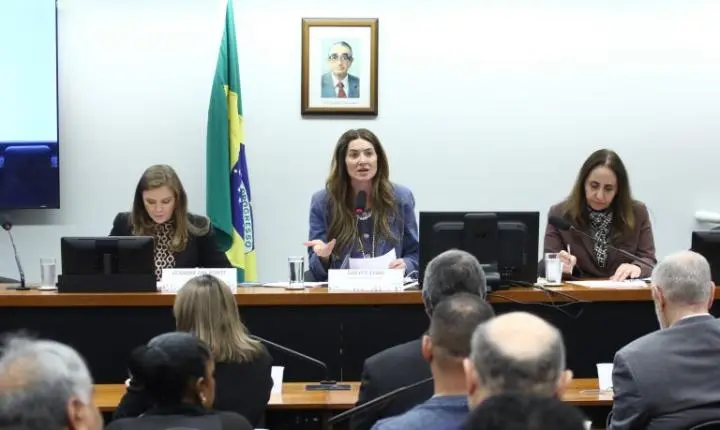 O futuro das licenciaturas a distância divide opiniões em audiência na Câmara