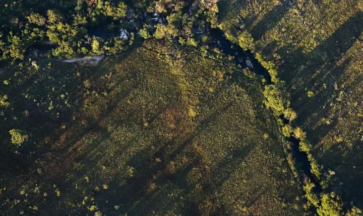 Juros mais baixos são aprovados para crédito rural sustentável via Fundos Constitucionais
