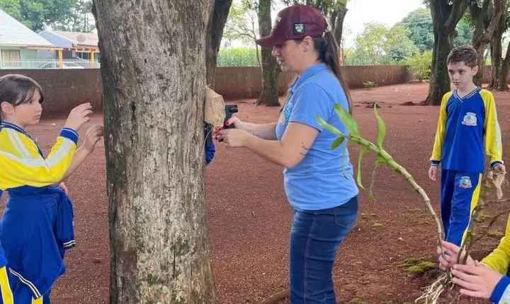 Grupo Idosos Unidos Venceremos de Maripá inicia programação do Junho Violeta com palestra e ação intergeracional