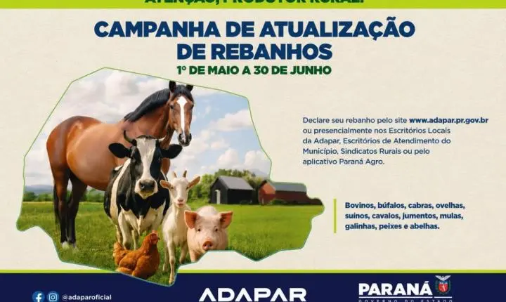 Maripá entra na reta final da atualização obrigatória de rebanhos e reforça alerta aos produtores rurais