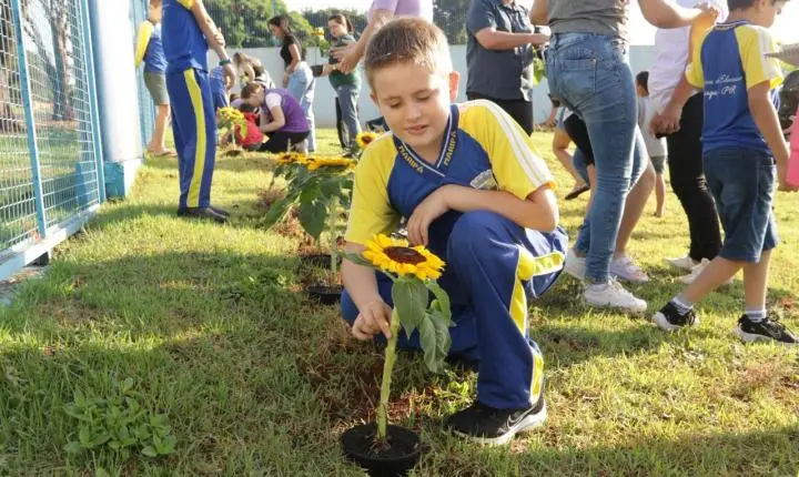 Maripá promove ação de conscientização no Dia Mundial do Autismo com plantio de girassóis