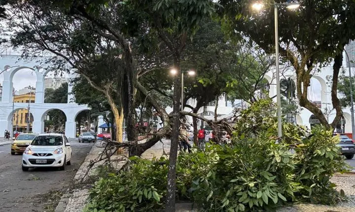 Especialistas analisam se El Niño causou ventos fortes no Rio e em São Paulo