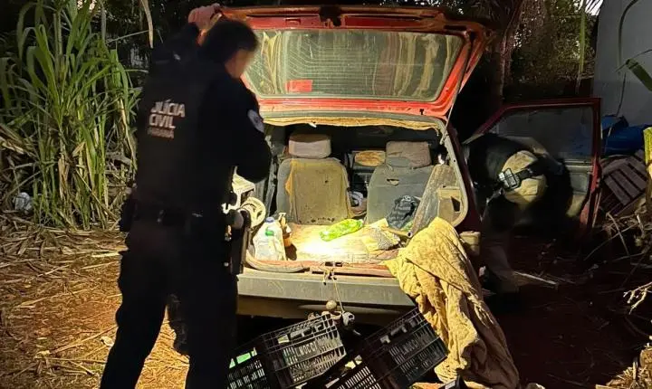 Operação Delivery prende seis pessoas e apreende drogas em ação integrada em Palotina
