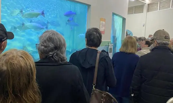 Palotina leva 125 idosos para passeio em Toledo e Cascavel