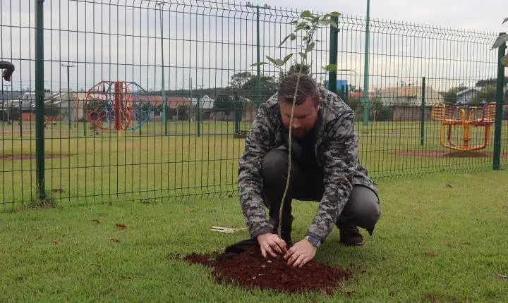 Palotina realiza plantio de árvores em praças para ampliar sombreamento e conforto nos parques infantis