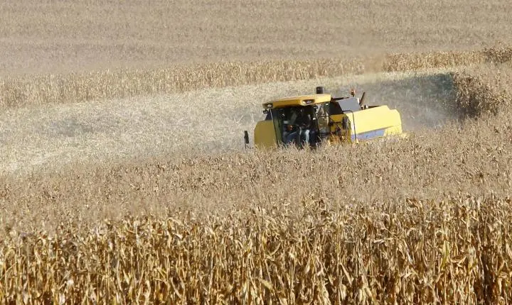 Paraná desponta como novo polo de etanol de milho com salto de 71% na produção 