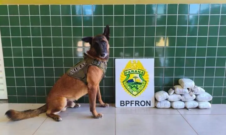 Passageira de carro de aplicativo é presa em Guaíra transportando haxixe