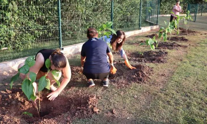 Plantio de mudas marca encerramento da programação do Mês da Mulher em Palotina