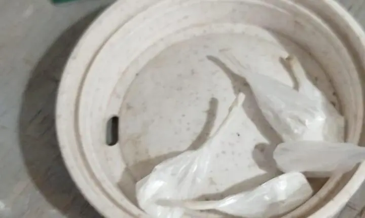 Polícia Civil prende homem de 23 anos por tráfico de drogas em Palotina