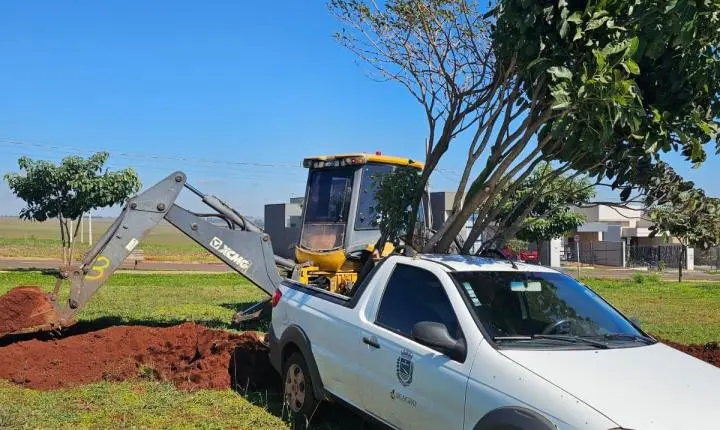 Prefeitura realiza retirada de árvores para replantio em áreas públicas e prepara terreno para construção do CMEI Progresso