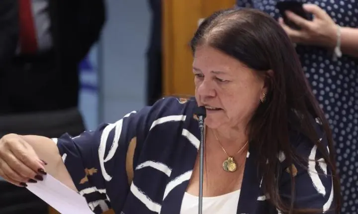 Projeto de lei na Câmara visa apoiar parentes que acolhem crianças afastadas