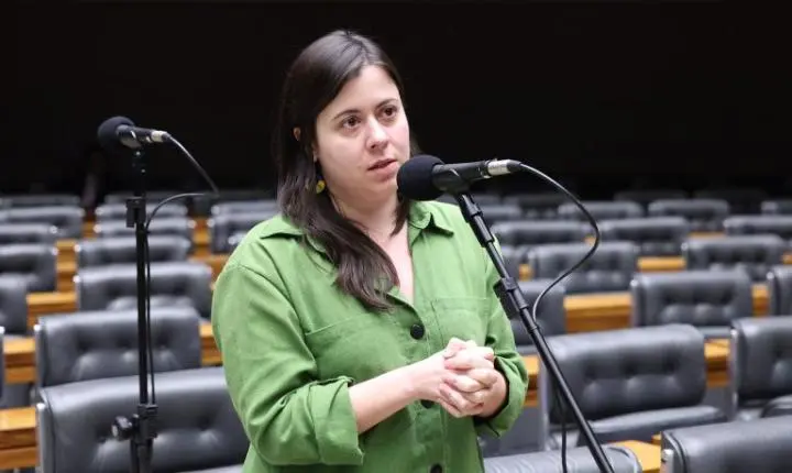 Proposta na Câmara restringe acesso a armas de fogo para quem tem medidas protetivas de urgência