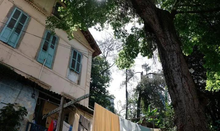 Quilombo urbano na zona sul do Rio de Janeiro guarda lições de resistência e história