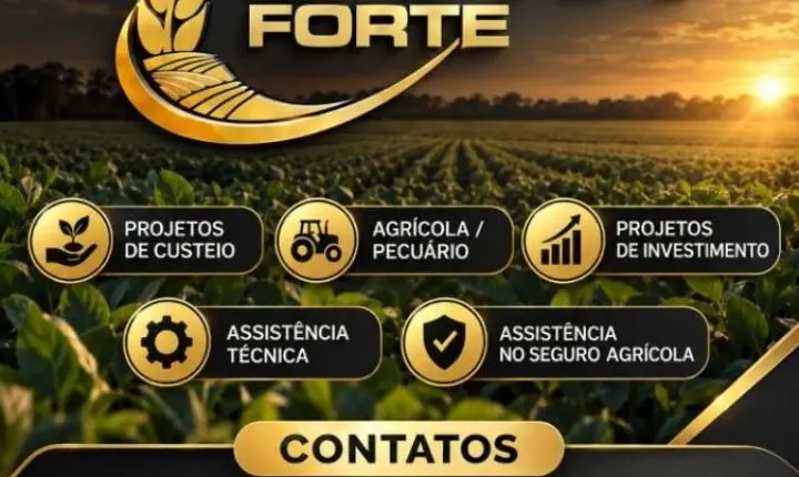 SAFRA FORTE — A SAFRA FORTE VEM PARA TE AJUDAR!