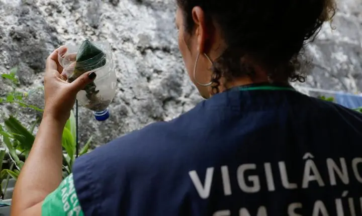 São Paulo registra mais de 58 mil casos de dengue e dezenas de mortes em investigação
