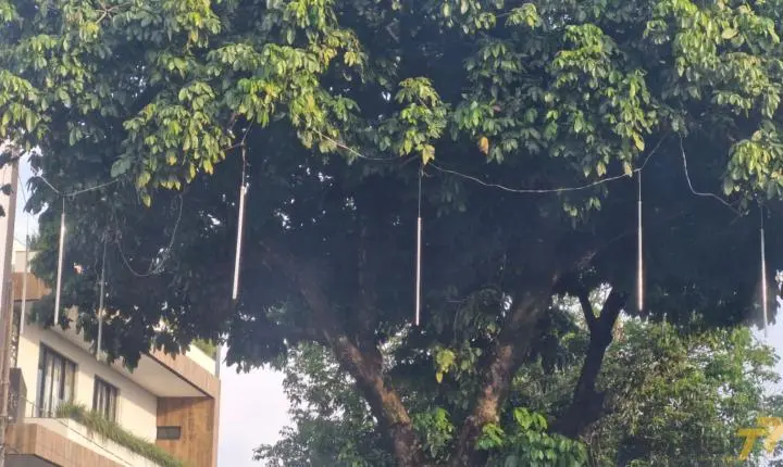 Terra Roxa antecipa decoração e prepara grandes eventos