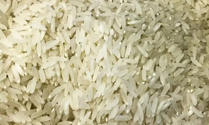 Brasil autoriza doação de arroz para a Colômbia após forte terremoto