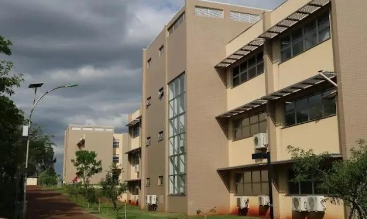 UFPR Palotina abre as portas para apresentar cursos, projetos e oportunidades à comunidade regional