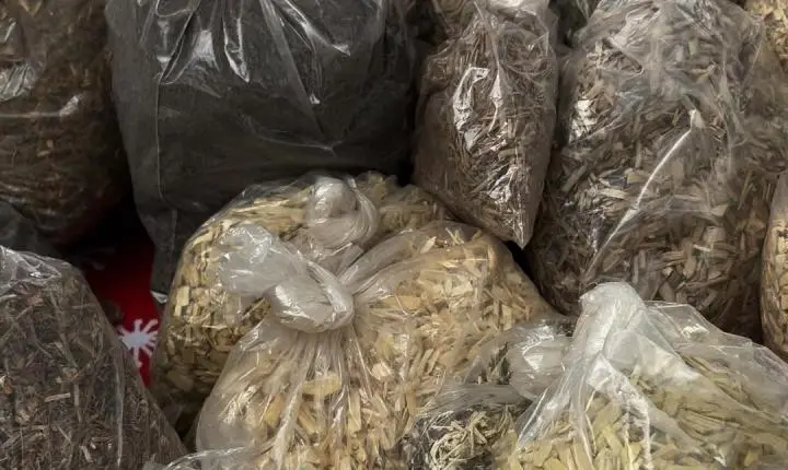 Variedade de ervas medicinais é apresentada nesta quarta-feira na Praça da Igreja Matriz de Terra Roxa