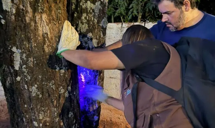 Vigilância Sanitária e Endemias realizam ação noturna de captura de escorpiões nos dias 4 e 5 de março